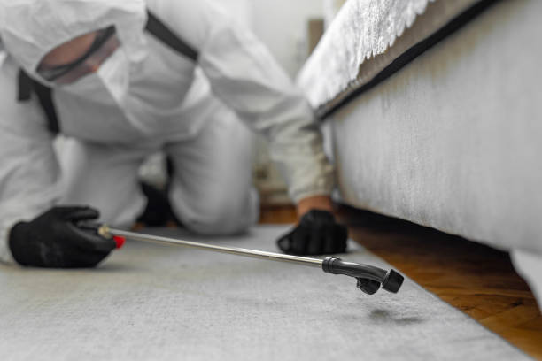 Professional Termite Control technician working in Van Meter, IA