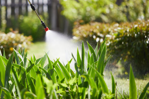 24/7 Emergency Termite Control experts in Van Meter, IA