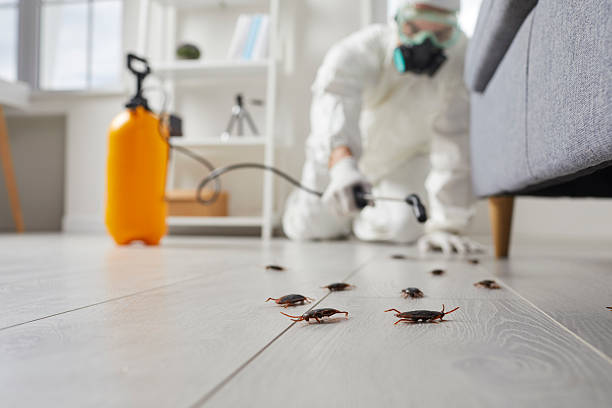Trusted Cockroach Control service in Van Meter, IA - Nex Pest Control