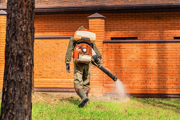 Trusted Mosquito Control service in Van Meter, IA - Nex Pest Control
